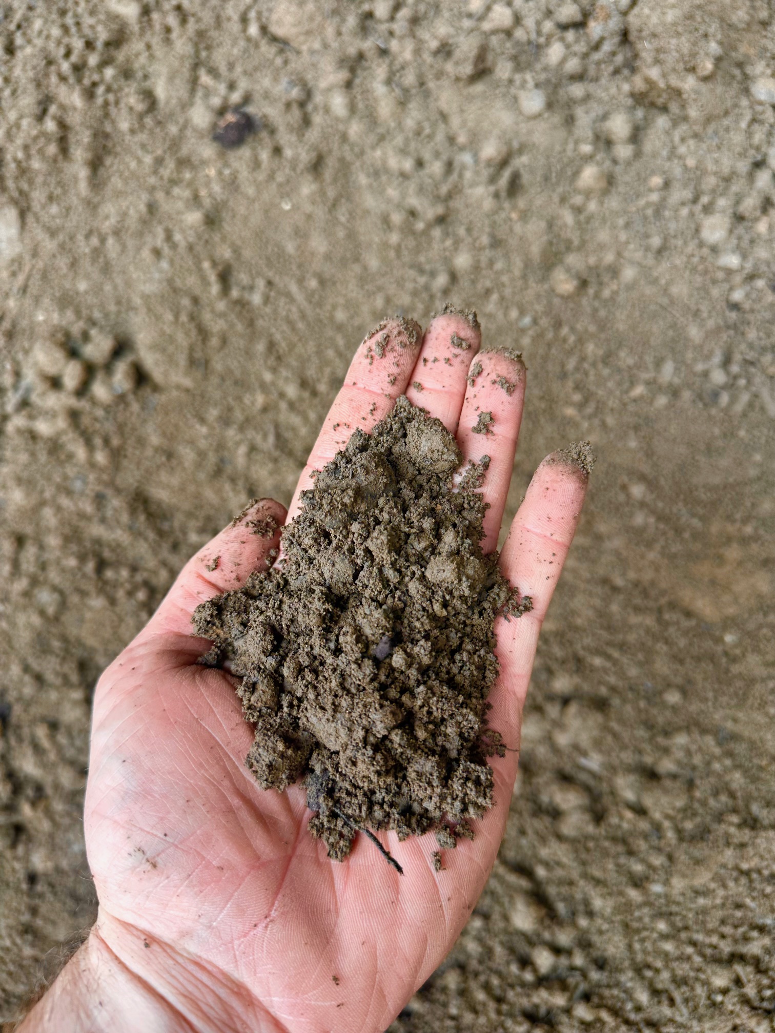 https://shop2.three-z.com/storage/photos/1/Products/Soil/toposil/TOP SOIL 2.jpg